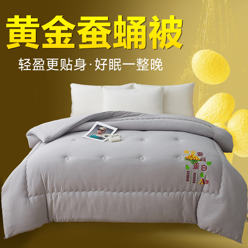 洛颜家纺优质睡眠 A类黄金蚕蛹蛋白被抑菌春秋被加厚保暖学生冬被