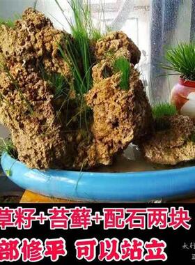 极速曼际 吸水石原石上水石天然假山奇石头盆景化石河滩植物麦管