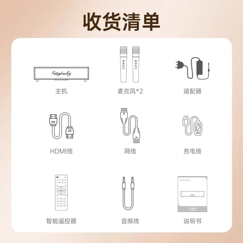 Jinyun v1 home ktv audio all-in-one microphone karaoke 2025 new karaoke karaoke machine home amplifier