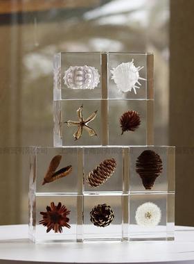 铂晶果实透明摆件客厅书房售楼处现代轻奢样板间设计师软装饰品