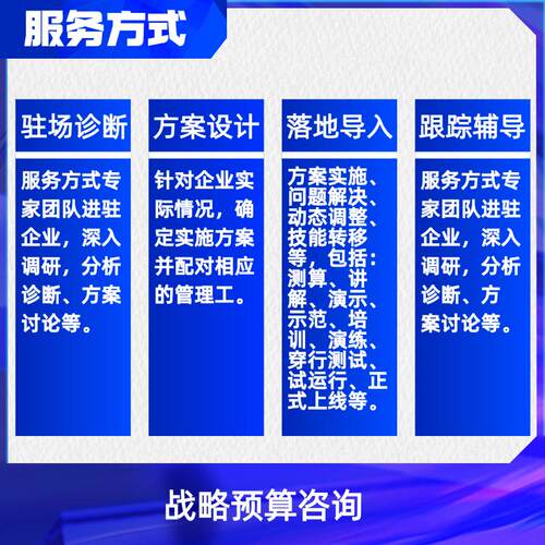 战略预算咨询 - 图2