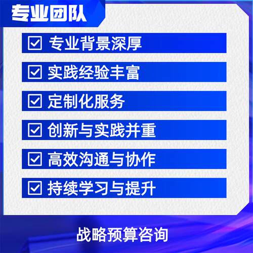 战略预算咨询 - 图3