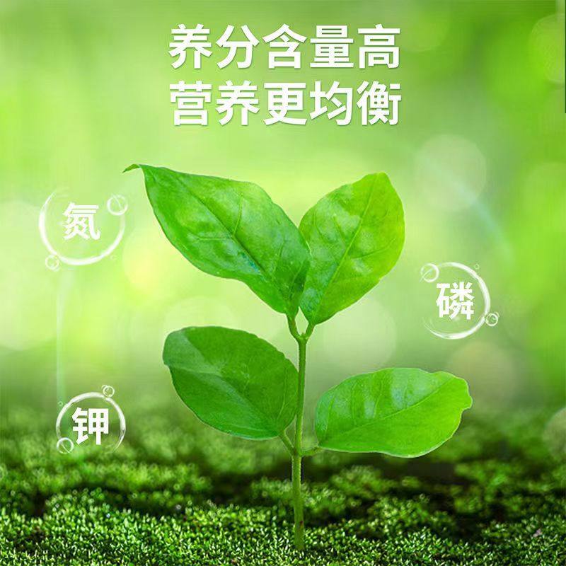 快速开花粉爆花肥玫瑰月季三角梅茶花植物花卉园艺通用型水溶肥料,淘宝优惠券,粉丝福利购,淘宝优惠卷