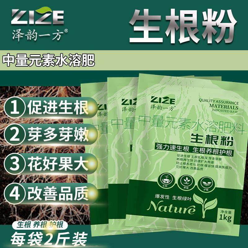 强力快速生根粉植物果树生根剂壮苗发根扦插花草木移栽果树苗通用,淘宝优惠券,粉丝福利购,淘宝优惠卷