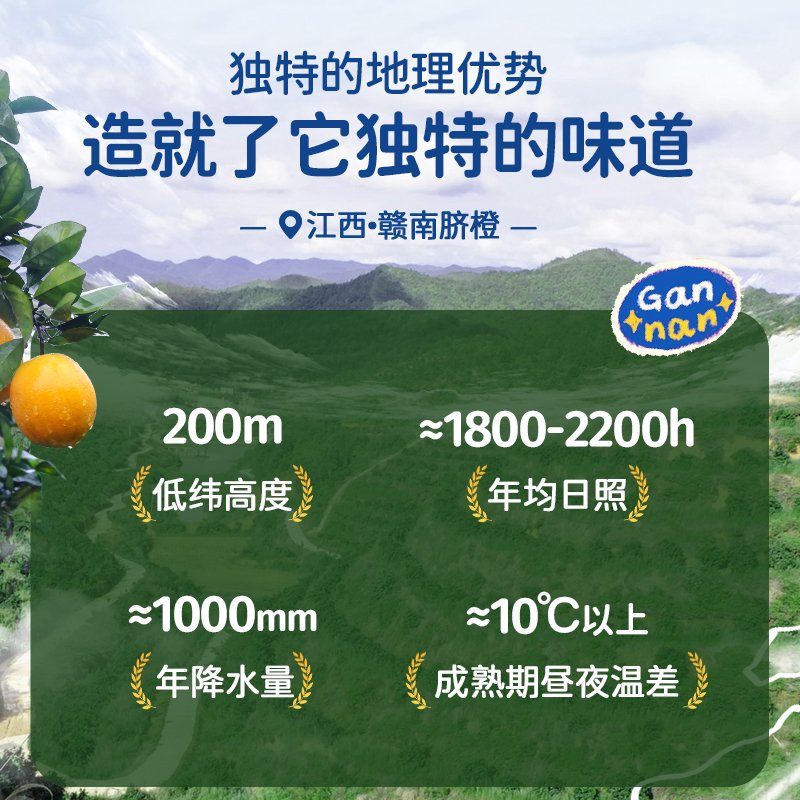 赣南脐橙官方旗舰店新鲜现摘橙子礼盒装高档送礼正宗江西信丰脐橙