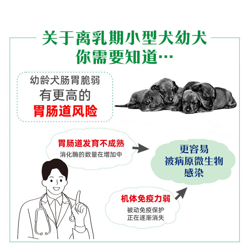 皇家幼犬离乳期奶糕配方粮SSD30助长配方营养补充JSD29,淘宝优惠券,粉丝福利购,淘宝优惠卷