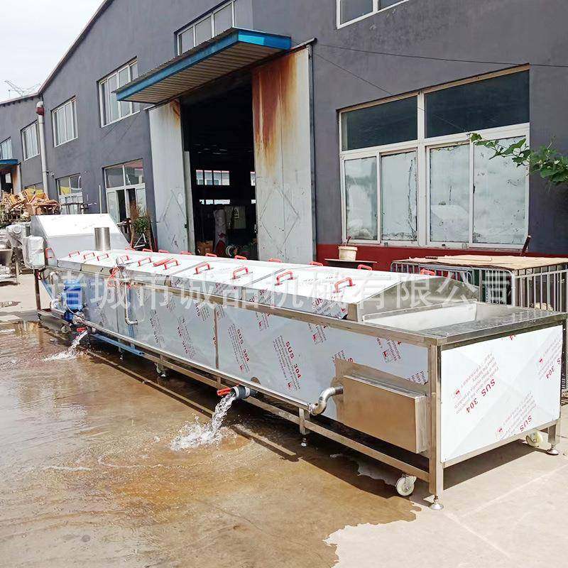 辣椒酱巴氏杀菌机商用酸菜酱菜辣椒酱清洗杀菌线大型蔬菜杀青设备,淘宝优惠券,粉丝福利购,淘宝优惠卷