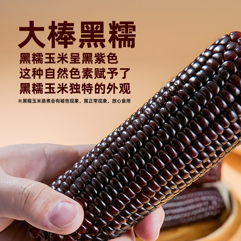 东北黑糯玉米粘黏大棒真空包装低脂粗粮黄糯玉米非即食新鲜甜玉米