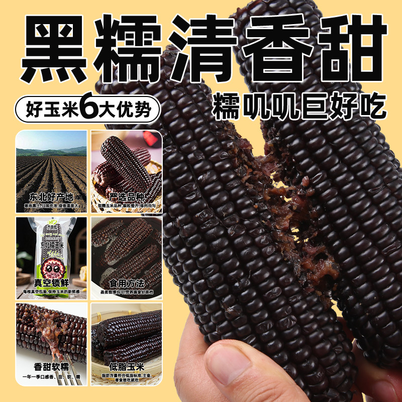 东北黑糯玉米粘黏大棒真空包装低脂粗粮黄糯玉米非即食新鲜甜玉米