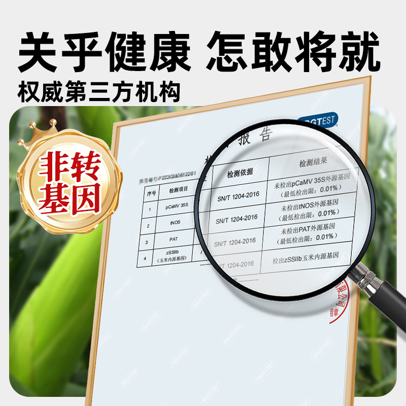 东北黑糯玉米粘黏大棒真空包装低脂粗粮黄糯玉米非即食新鲜甜玉米