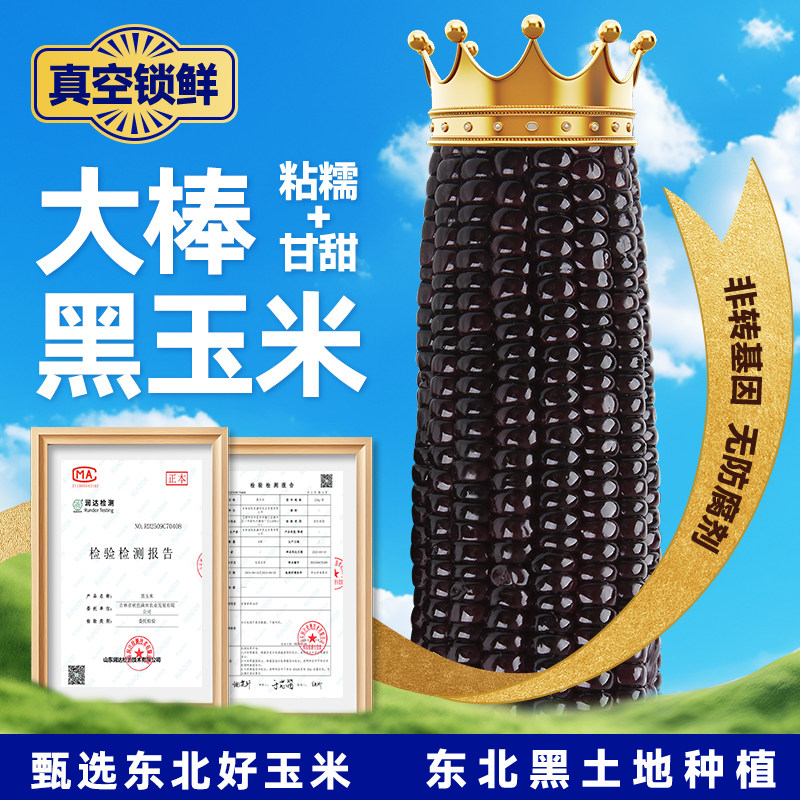 东北黑糯玉米粘黏大棒真空包装低脂粗粮黄糯玉米非即食新鲜甜玉米