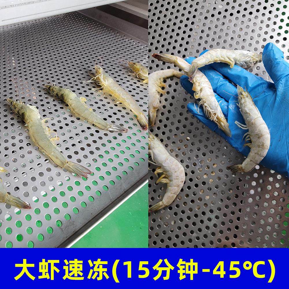 小龙虾尾隧道速冻机北美大虾速冻设备海鲜压缩机式全自动单冻机,淘宝优惠券,粉丝福利购,淘宝优惠卷
