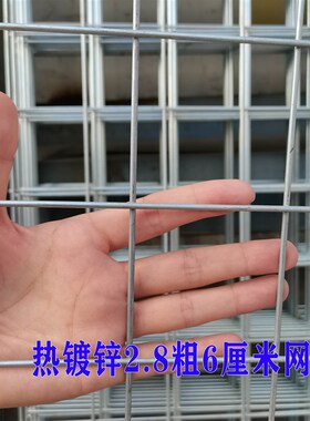 镀锌铁丝网加粗电焊网片围栏网鸽舍狗笼子底网装饰网格养殖隔离网