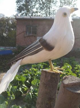 海欧仿真羽毛海欧吊饰装饰走秀摄影道具园林摆件海鸥鸽子教学模型