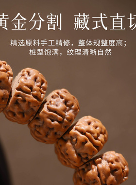 【师傅推荐】树神爆肉小金刚菩提