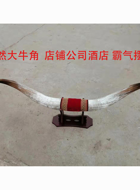 极速牛角摆件工艺品 真牛角客厅书房 办公桌牦牛角家居装饰品礼品