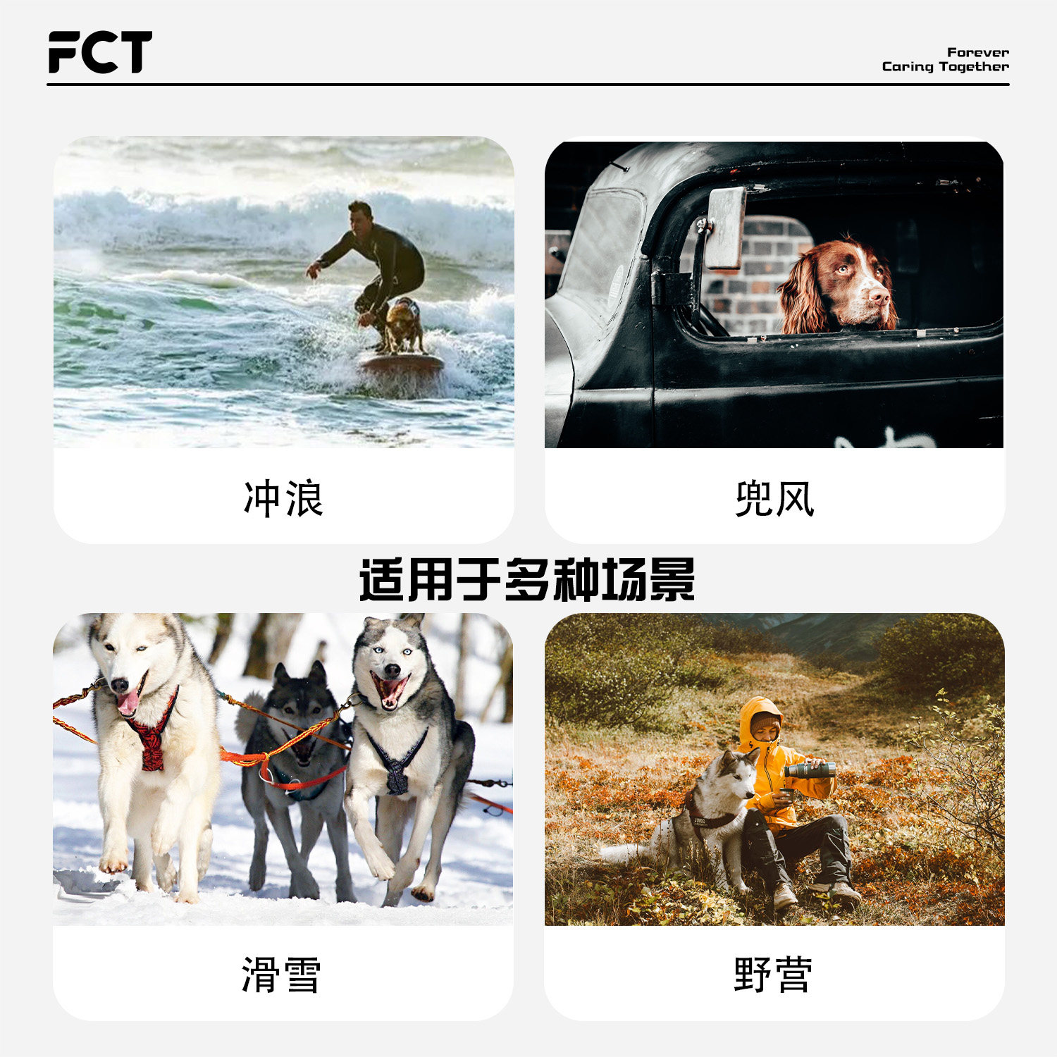 FCT美国品牌宠物护目镜高端真REVO镀膜防风沙紫外线时尚炫酷墨镜,淘宝优惠券,粉丝福利购,淘宝优惠卷