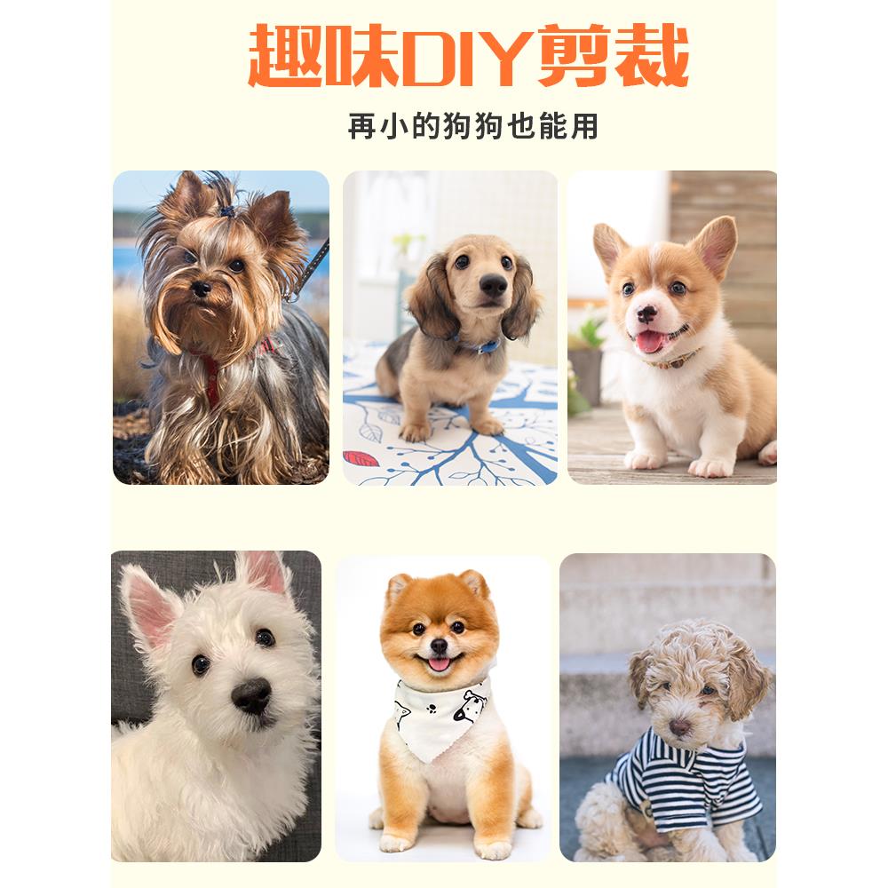 laroo莱诺狗狗发光项圈小型犬脖圈夜光防走失宠物夜间遛狗夜行灯 - 图1