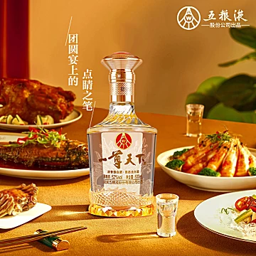 【6瓶礼】五粮液一尊天下盛世佳品52度白酒[320元优惠券]-寻折猪