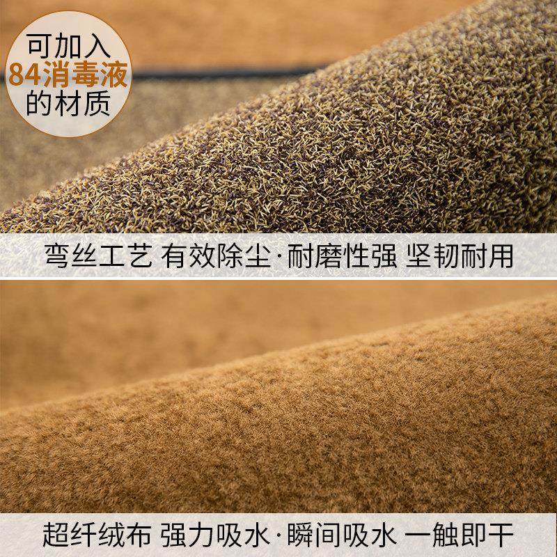 地垫进门入户门消毒门垫家用干湿分离门口地毯室外蹭土防滑脚垫子,淘宝优惠券,粉丝福利购,淘宝优惠卷