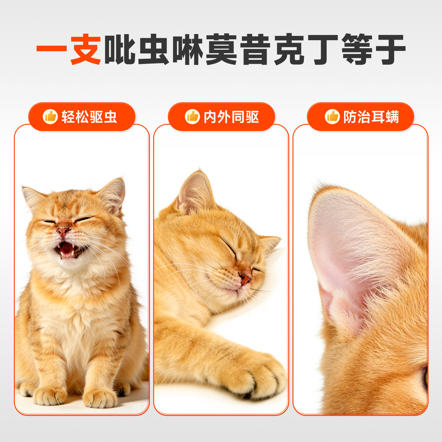 拜达尔猫咪驱虫药狗狗体内外一体同驱宠物跳蚤蜱虫耳螨吡虫啉滴剂