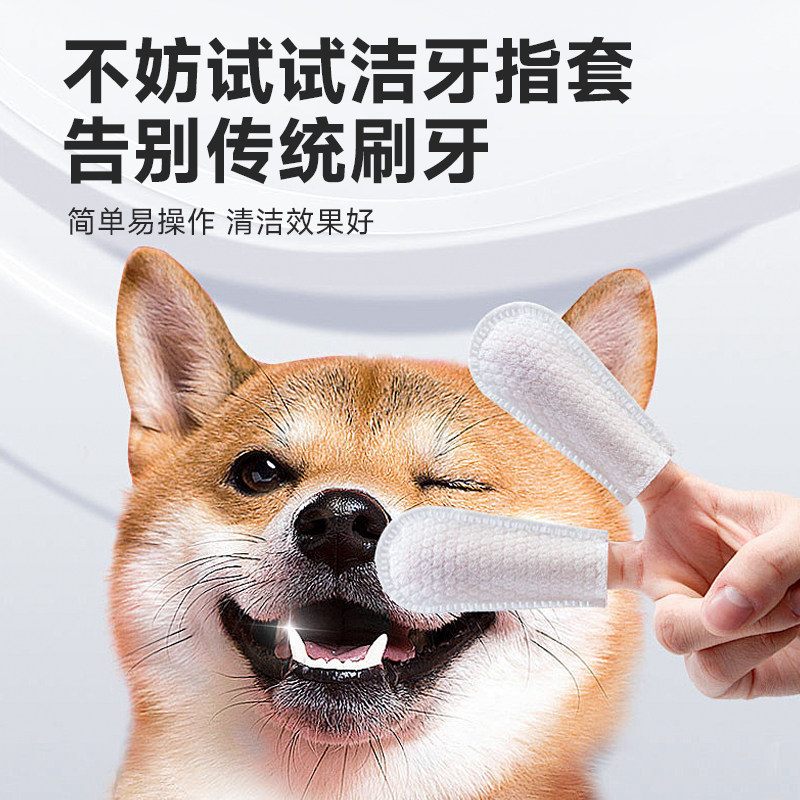 拜达尔洁牙指套清洁牙齿狗狗猫咪口腔清洁用品宠物刷牙耳部通用,淘宝优惠券,粉丝福利购,淘宝优惠卷