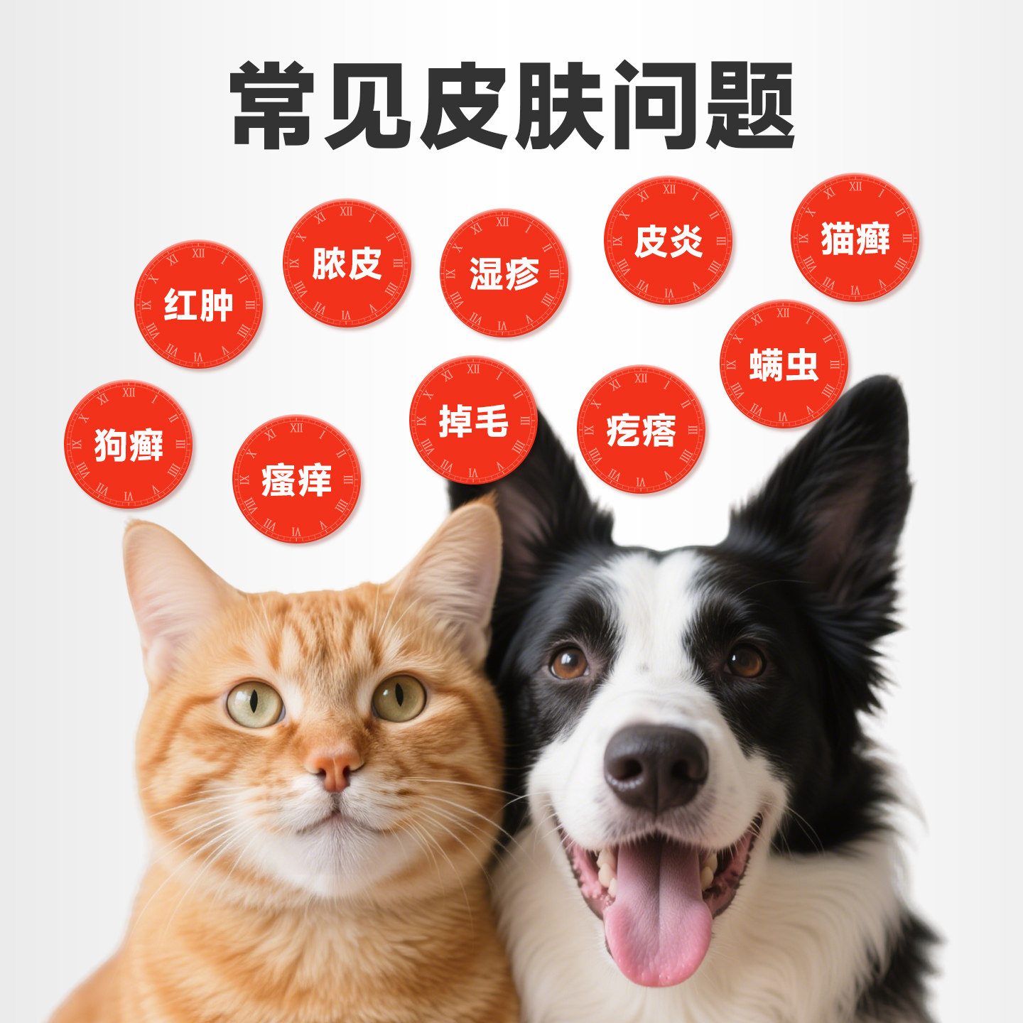 拜达尔猫藓外用皮肤喷剂猫癣专用狗藓狗皮肤病宠物真菌瘙痒皮特喷,淘宝优惠券,粉丝福利购,淘宝优惠卷