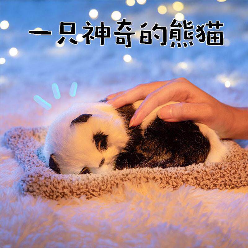 生日礼物女孩高级感送儿童女儿开学7实用8十岁幼儿园的