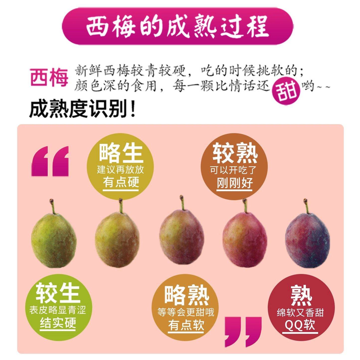 顺丰澳洲进口西梅5斤新鲜应当季水果甜蜜李子孕妇黑布林礼盒包邮,淘宝优惠券,粉丝福利购,淘宝优惠卷