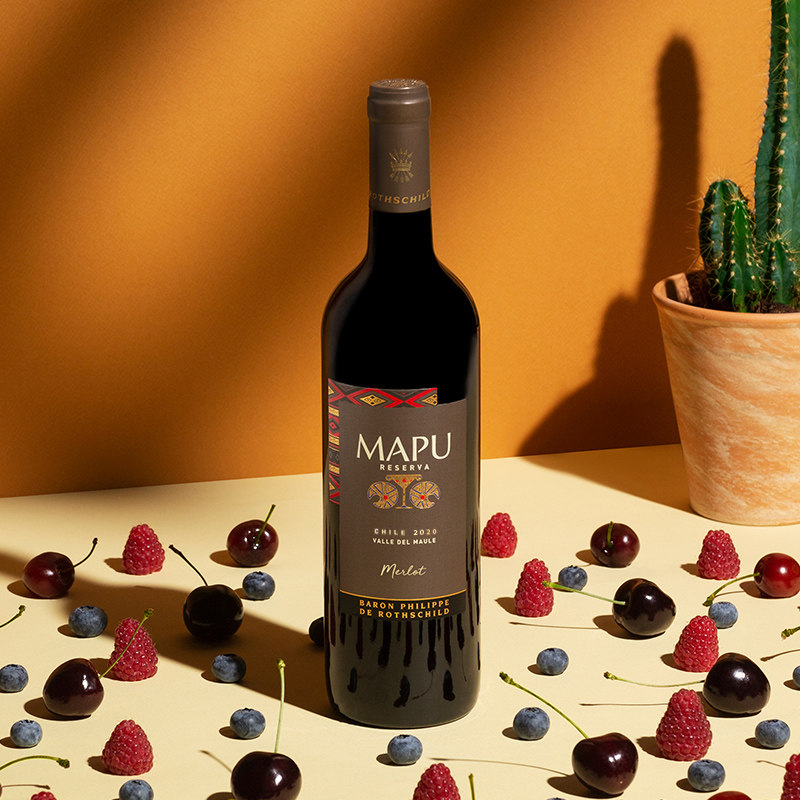大地MAPU珍藏梅洛干红葡萄酒智利原瓶进口红酒750ml*1,淘宝优惠券,粉丝福利购,淘宝优惠卷