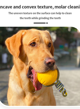 EVA Dog Chew Ball Pet Dog Training Ball Puppy Bite Resistant
