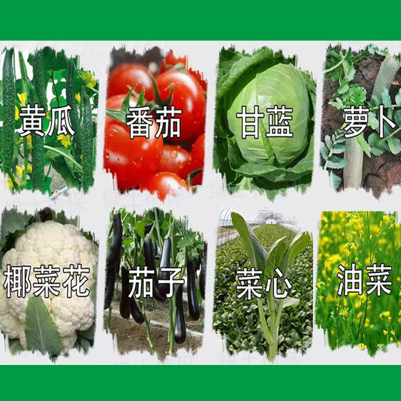 兆如丰抗性跳甲虫专用杀虫剂甘蓝蔬菜灭黄曲条跳甲蚜虫高效杀虫剂,淘宝优惠券,粉丝福利购,淘宝优惠卷