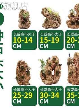 吸水石盆景上水石假山石奇石鱼缸造景家居装饰水秀石头奇石小摆件