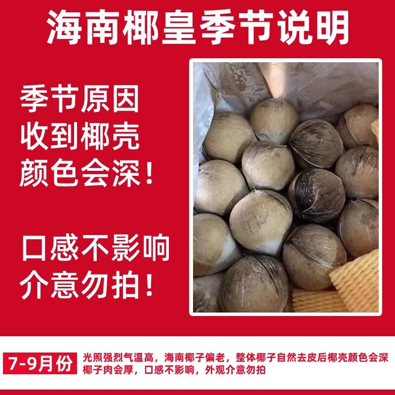 海南牛奶椰皇9个装新鲜椰青当季煲鸡汤老椰子肉椰汁孕妇整箱30