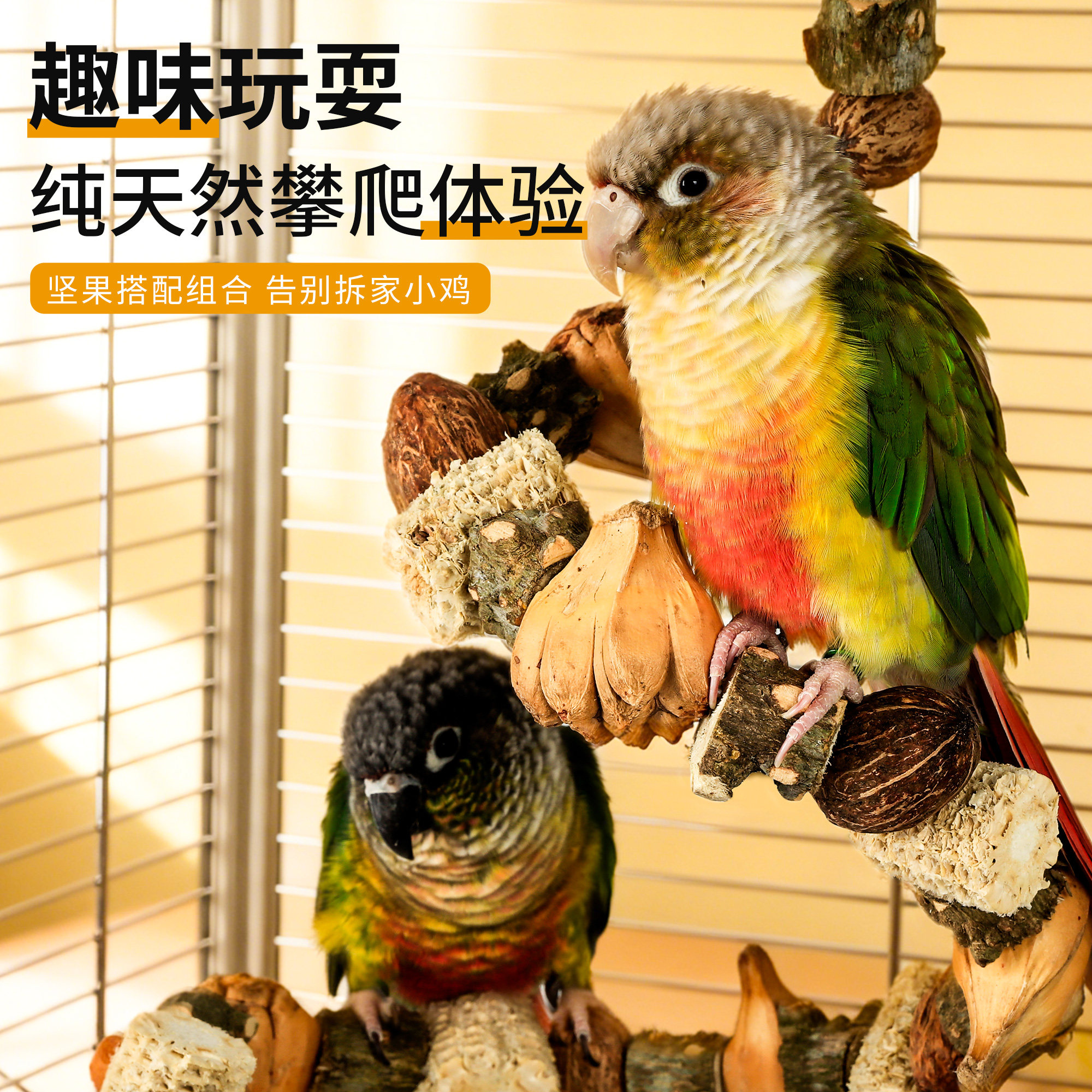 图2