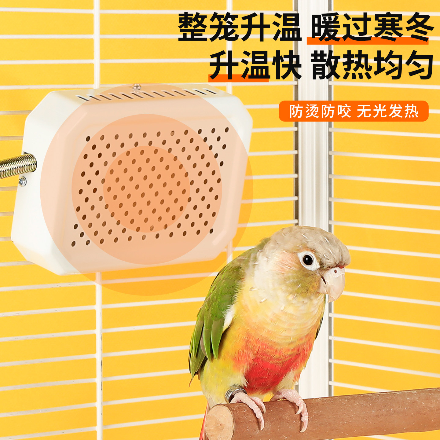 鹦鹉取暖器无光加热过冬神器宠物恒温控制保暖陶瓷灯牡丹玄凤专用,淘宝优惠券,粉丝福利购,淘宝优惠卷