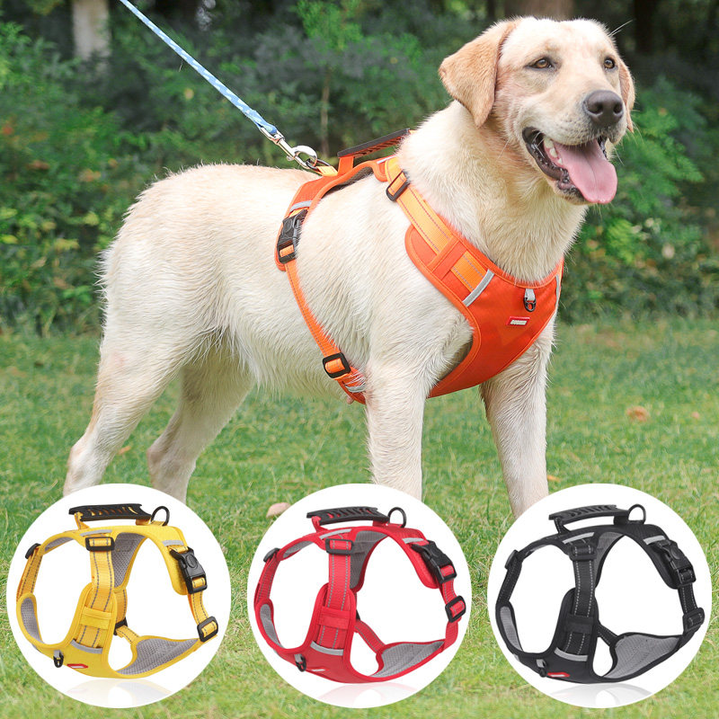 狗狗牵引绳防爆冲胸背带中型大型犬金毛拉布拉多狗链子大狗遛狗绳,淘宝优惠券,粉丝福利购,淘宝优惠卷
