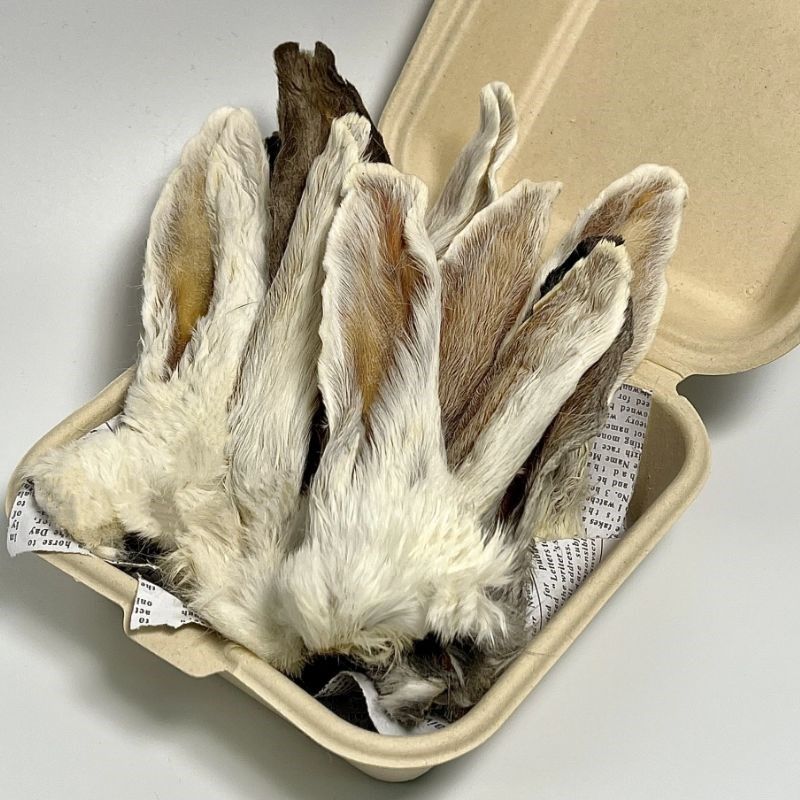 宠物食品带毛兔耳朵狗狗零食风干金毛泰迪博美狗磨牙棒幼犬洁齿骨,淘宝优惠券,粉丝福利购,淘宝优惠卷