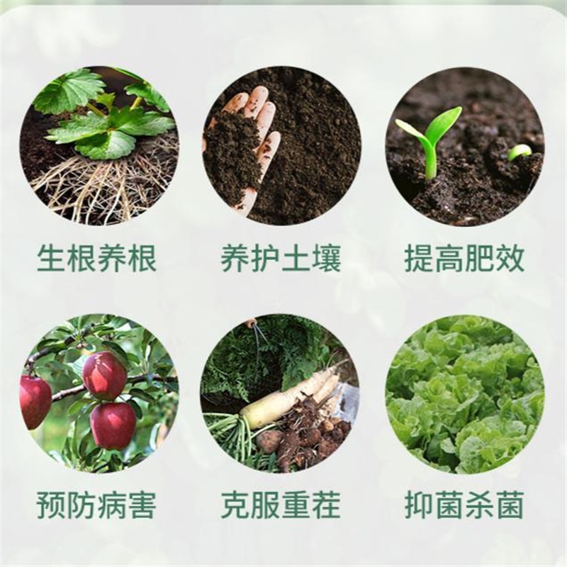 防根腐套餐枯草芽孢杆菌哈慈木霉菌微生物菌剂矿源黄腐酸钾包邮 - 图0