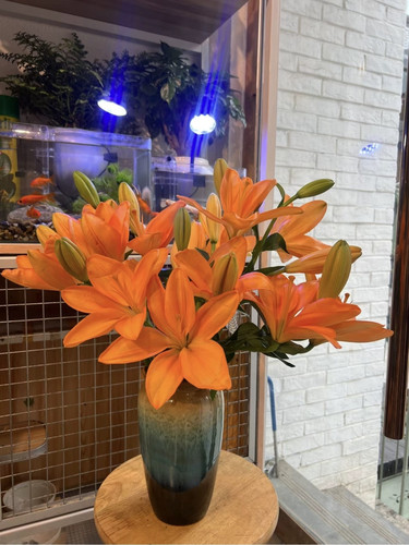 黑宝石亚百合无香型高级黑红色油画质感花苞小巧家庭办公水养鲜花 - 图3