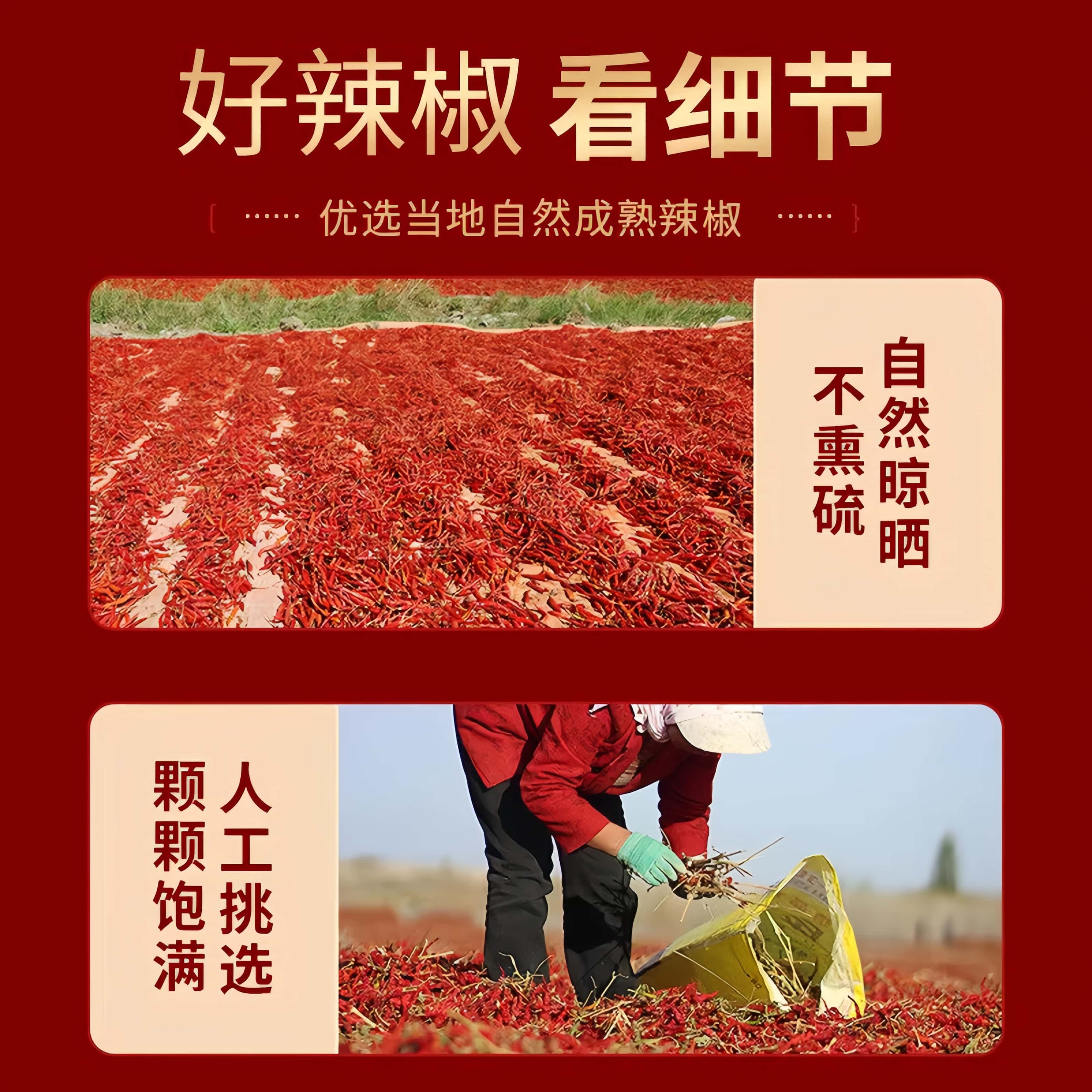 正宗新疆特产辣皮子拌面大盘鸡特级自然晾晒干辣椒官方旗舰店当季
