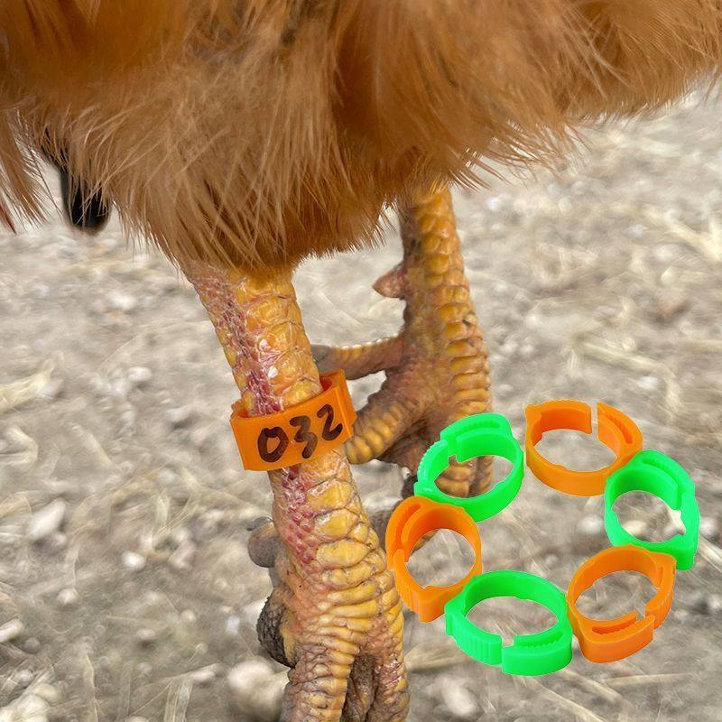 养殖厂鸡脚环自动卡扣鸡做记号防走失家禽识别扣环鸟用脚环标记,淘宝优惠券,粉丝福利购,淘宝优惠卷