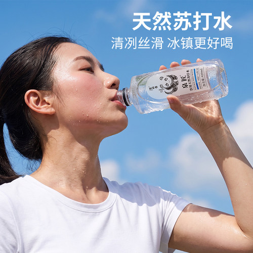EHO泉匠天然苏打水整箱24瓶弱碱性ph8.5高端商务解渴无糖无添加 - 图2