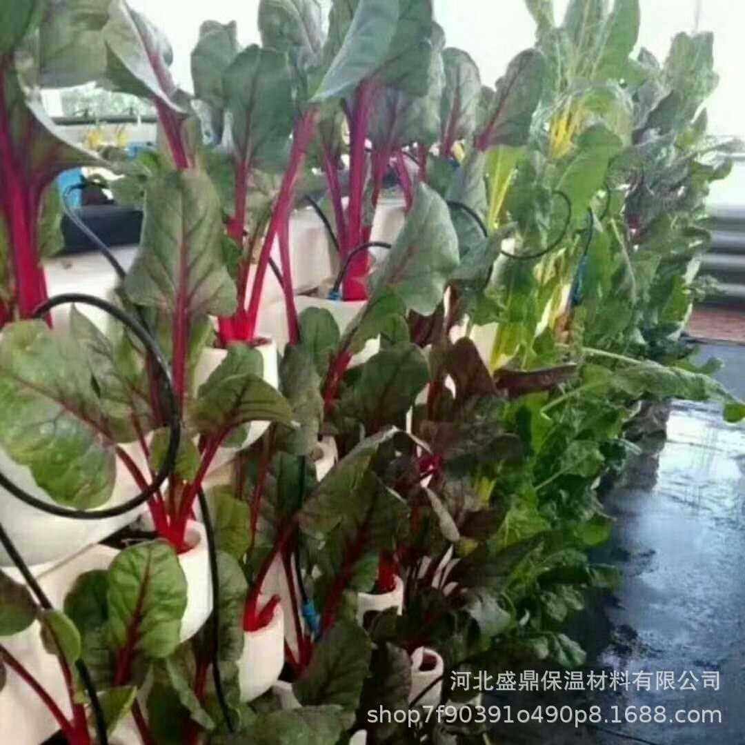 新款直销尺寸可定种植植物岩棉屋顶绿化立体无土栽培育苗基质,淘宝优惠券,粉丝福利购,淘宝优惠卷