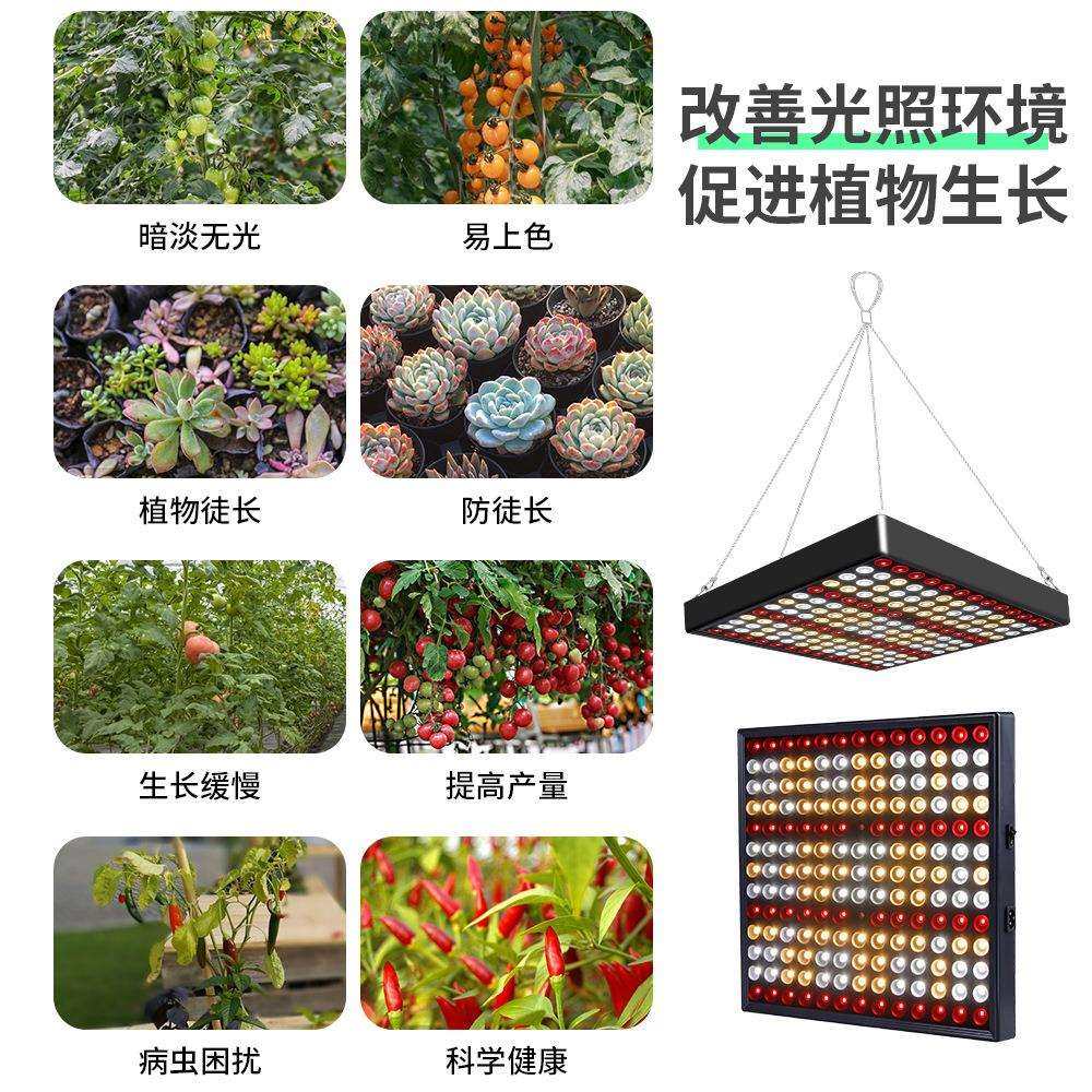 厂家直销LED量子植物生长灯户外全光谱植物种植灯大棚蔬菜补光灯,淘宝优惠券,粉丝福利购,淘宝优惠卷