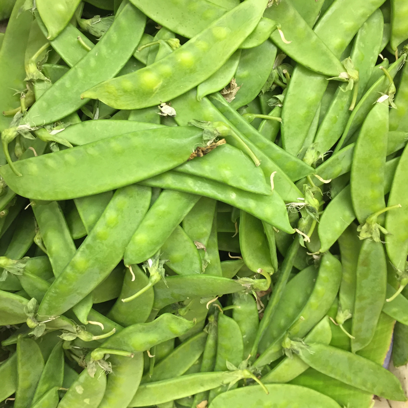 荷兰豆250g 新鲜蔬菜甜豆青豆菜豌豆江时令清炒蔬菜 满5件包邮 - 图0