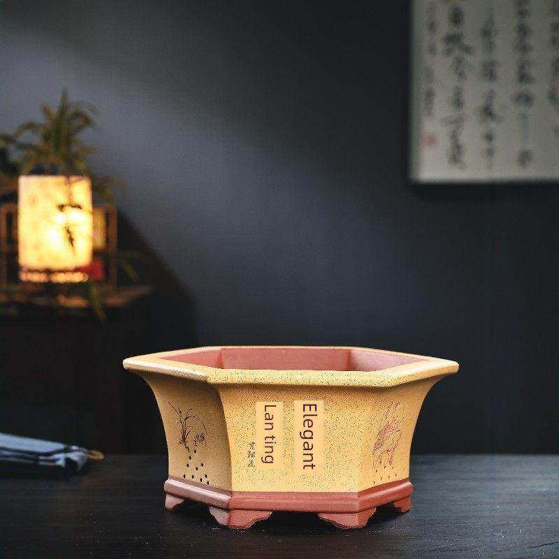 宜兴紫砂盆景壶六方海棠透气性老桩木阳台蔬菜种植工艺品手工陶瓷,淘宝优惠券,粉丝福利购,淘宝优惠卷