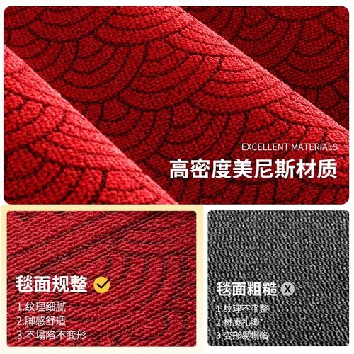 入户门地垫2024新款家用中式高级感地毯门垫耐脏免洗防滑进门脚垫 - 图1