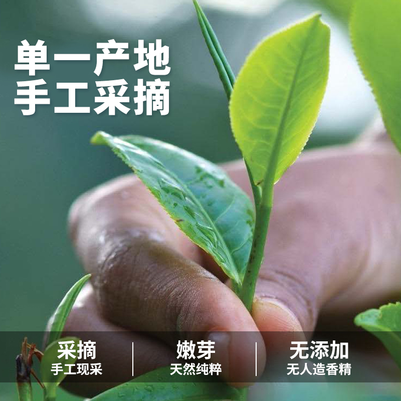 Dilmah迪尔玛斯里兰卡进口经典英式早餐茶伯爵红茶100g两盒袋泡茶