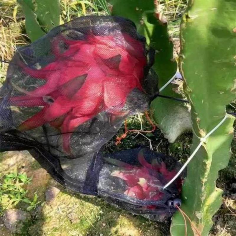 火龙果套袋防鸟防果蝇防虫网袋黑色火龙果专用套袋双绳套袋尼龙袋,淘宝优惠券,粉丝福利购,淘宝优惠卷